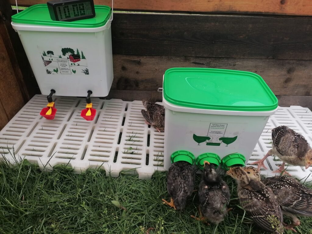 Best water drinker for small chickens