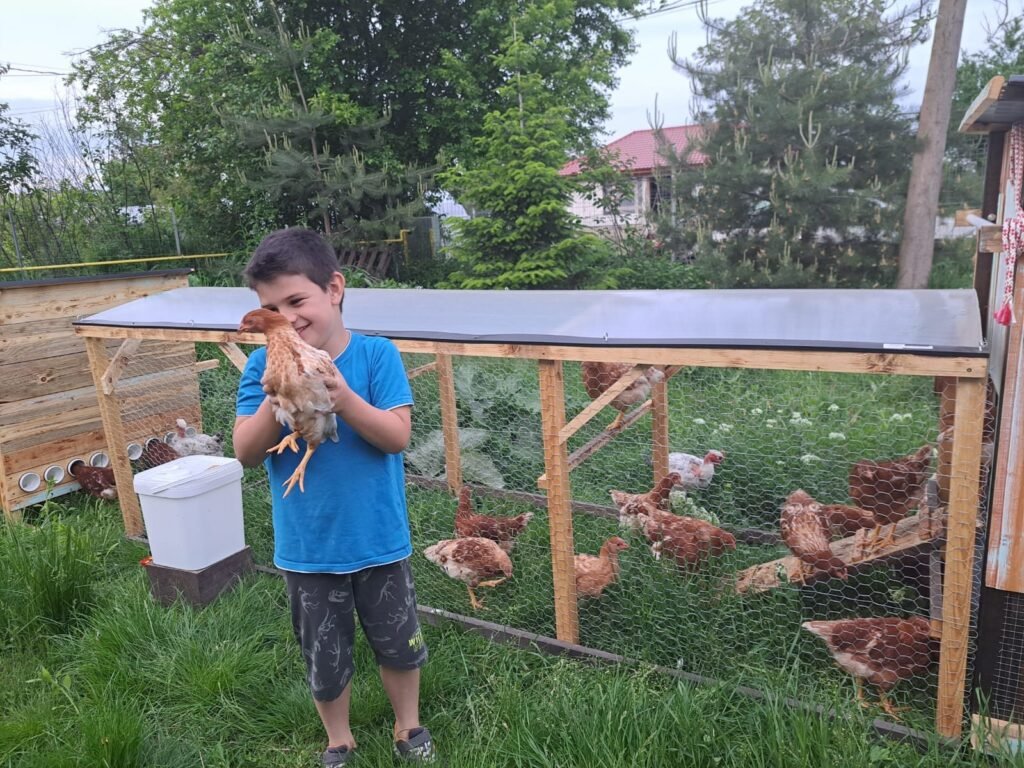 best chicken coop