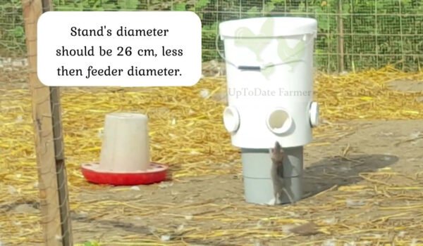 rat proof chicken feeder diy