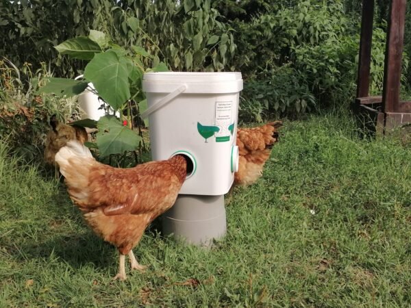 gravity-fed poultry feeders