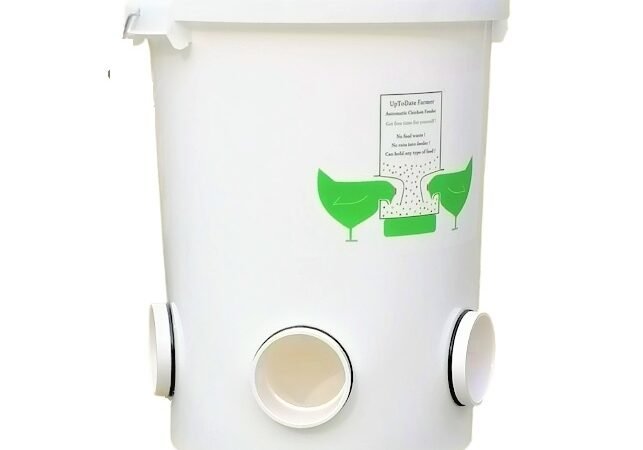 best chicken feeder 17kg