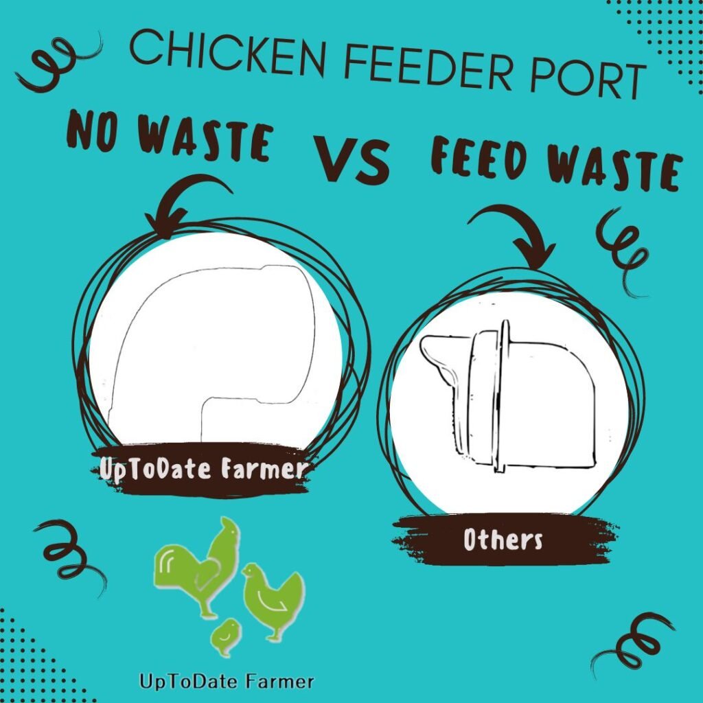 no waste chicken feeders