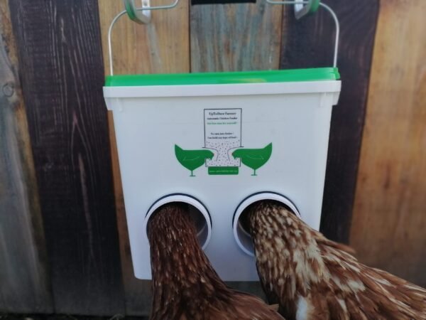 Portable chicken feeders and drinkers