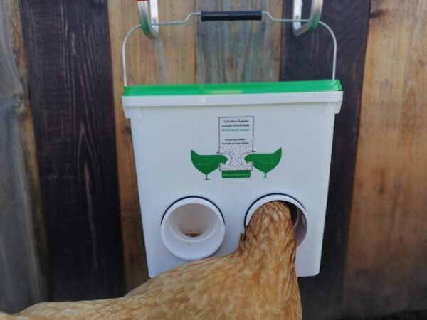 best chicken feeder no waste