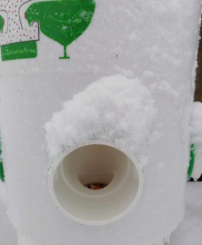 rain proof chicken feeder