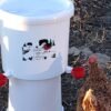 automatic chicken drinkers