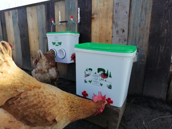 adjustable height feeders for chickens