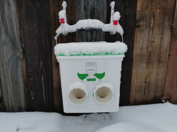 best no waste chicken feeder