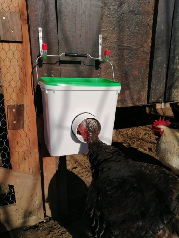 best automatic turkey feeder