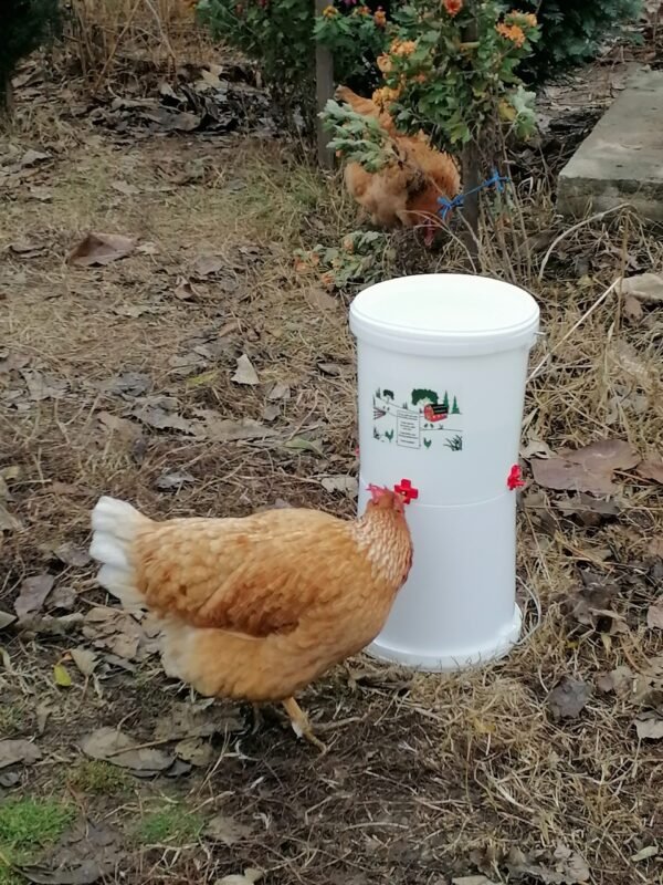 Nipple waterers for chickens