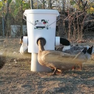 Automatic Duck/Goose Feeder 25l/17kg with 4 feeding ports