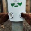 Large volume chicken feeder