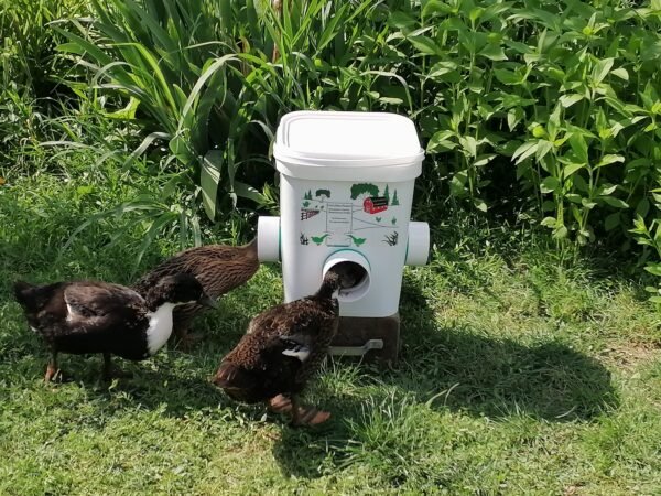 best automatic poultry feeder