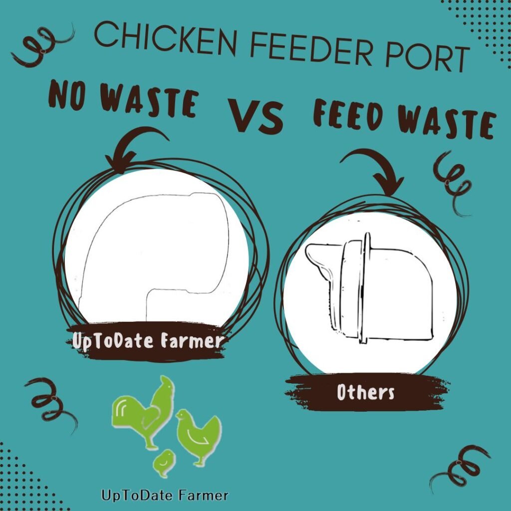 chicken feeder